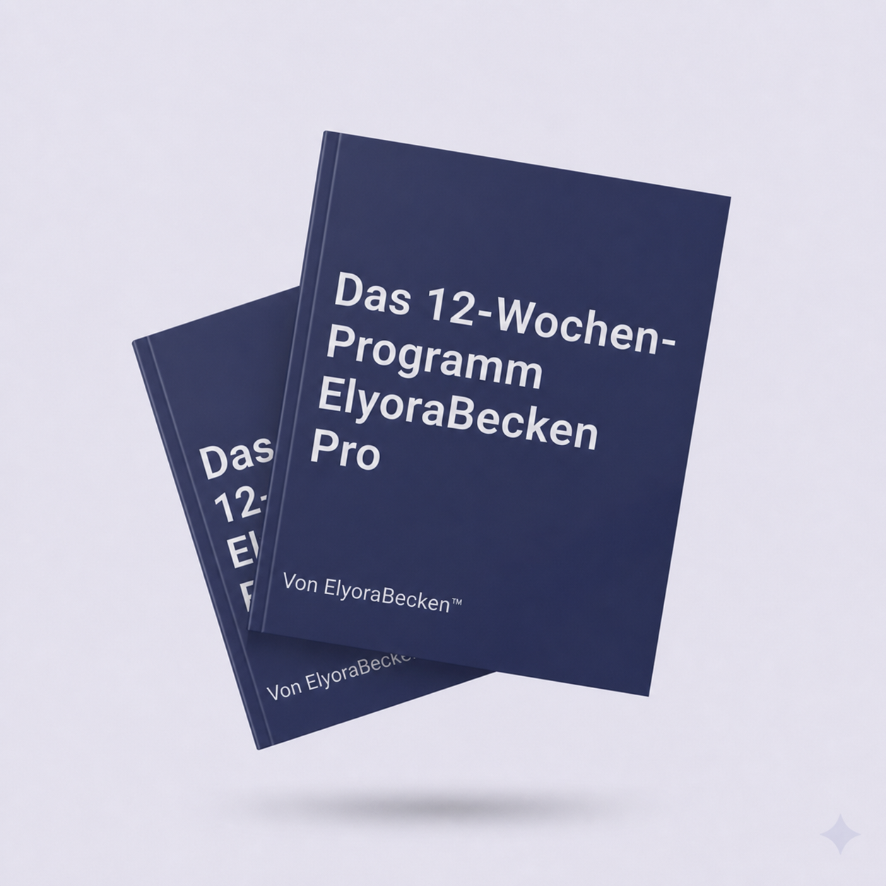 Das 12-wöchige ElyoraPelvico™ Pro-Programm